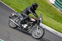 Vintage-motorcycle-club;eventdigitalimages;mallory-park;mallory-park-trackday-photographs;no-limits-trackdays;peter-wileman-photography;trackday-digital-images;trackday-photos;vmcc-festival-1000-bikes-photographs